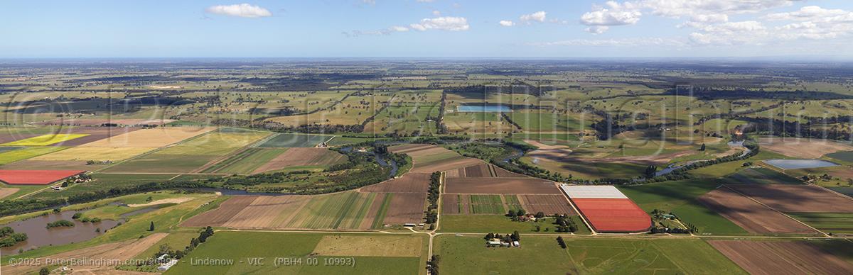 Peter Bellingham Photography Lindenow - VIC (PBH4 00 10993)